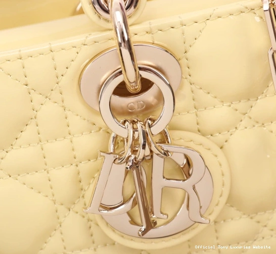 Tony Luxuries LADY BAG-22*12*6CM diro D-JOY 0710